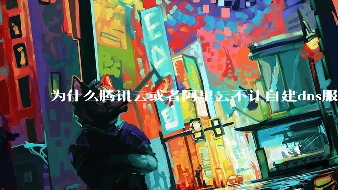 为什么腾讯云或者阿里云不让自建dns服务器?
