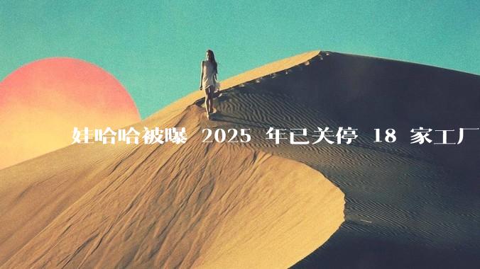娃哈哈被曝 2025 年已关停 18 家工厂，此前曾回应纯净水由今麦郎代工，娃哈哈到底在布局什么？