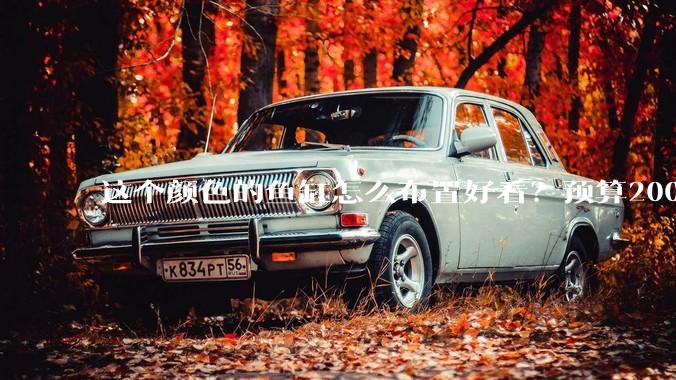 这个颜色的鱼缸怎么布置好看？预算200以内，不吝赐教，谢谢?