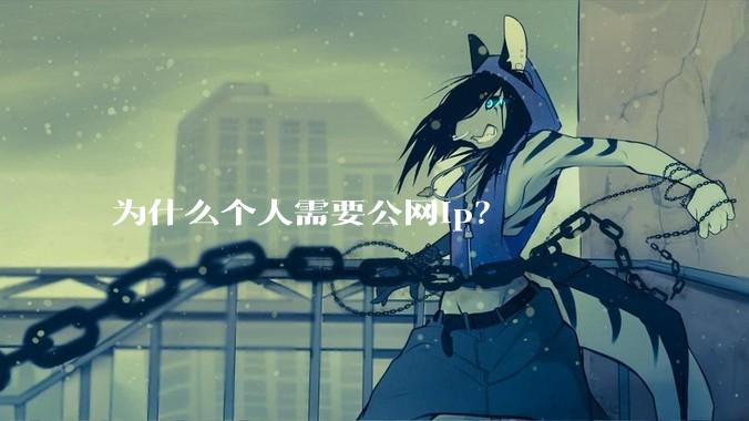 为什么个人需要公网ip？