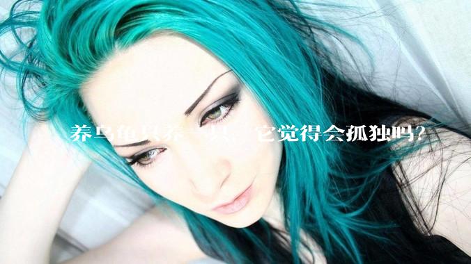 养乌龟只养一只，它觉得会孤独吗？