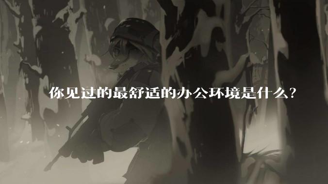 你见过的最舒适的办公环境是什么？