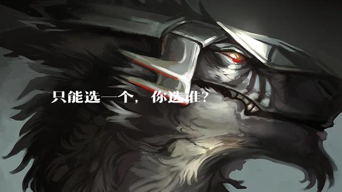 只能选一个，你选谁？