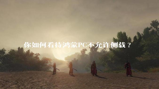 你如何看待鸿蒙PC不允许侧载?