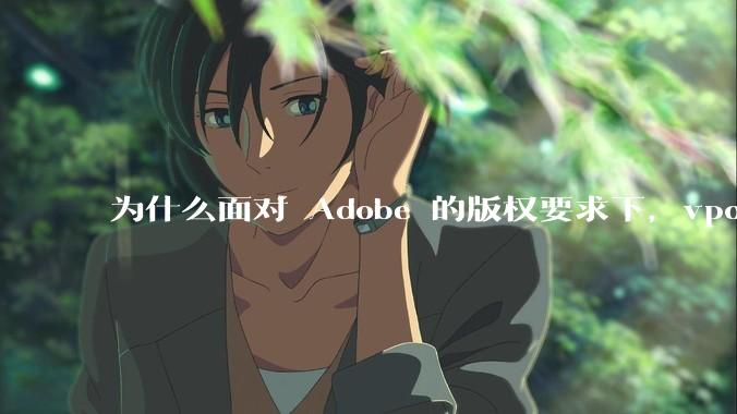 为什么面对 Adobe 的版权要求下，vposy 大神还能从容不迫？