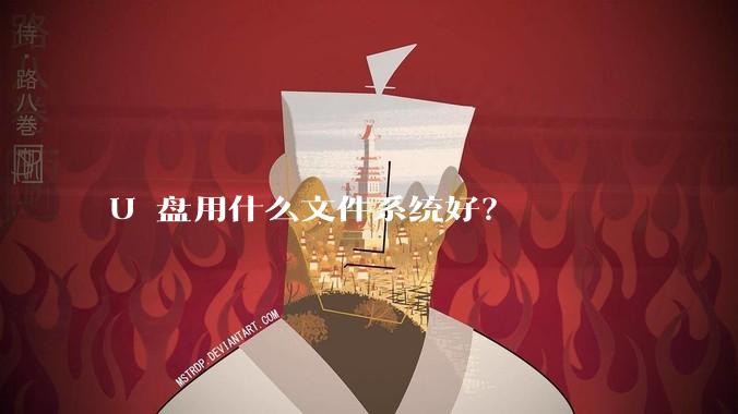 U 盘用什么文件系统好？