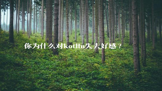你为什么对kotlin失去好感?