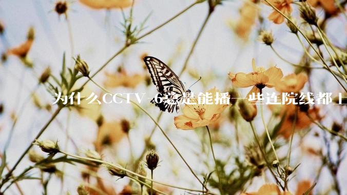 为什么CCTV-6总是能播一些连院线都上不了的电影？