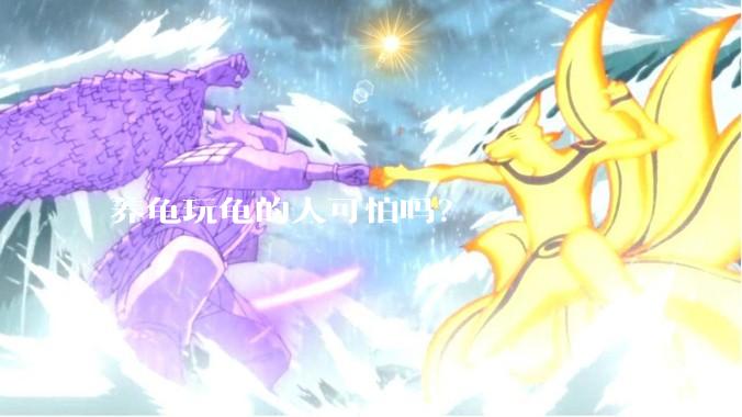 养龟玩龟的人可怕吗？